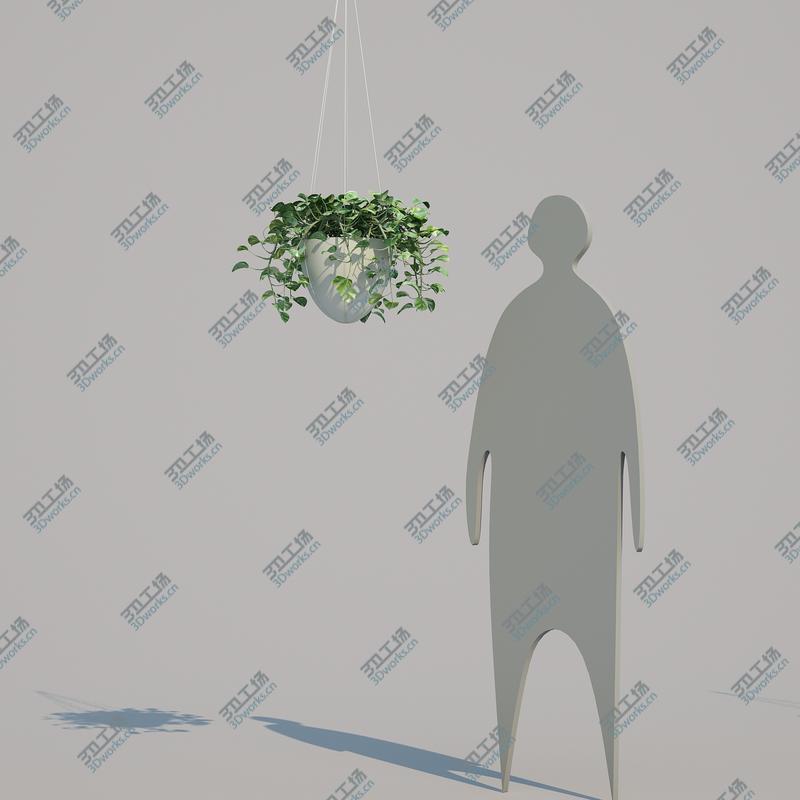 images/goods_img/202104094/3D model Epipremnum aureum 11/2.jpg